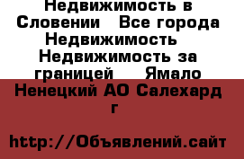 Недвижимость в Словении - Все города Недвижимость » Недвижимость за границей   . Ямало-Ненецкий АО,Салехард г.